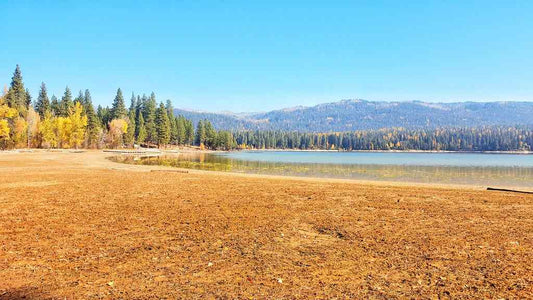 Four Events for Your Thanksgiving Role Playing Game